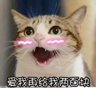 萌宠猫星人爱我再给我两百块害羞搞怪逗gif动图_动态图_表情包下载