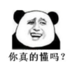 暴漫 熊猫头 你真的懂吗 搞笑 逗 沙雕