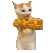 猫meme 猫咪 可爱 搞怪