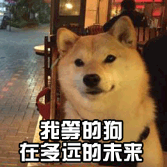 狗