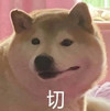 萌宠 汪星人 切 生气 呆萌 可爱