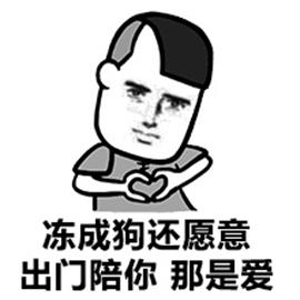 凍成狗gif搞笑gif寒冷gif滑稽gif