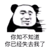 暴漫 熊猫头 你知不知道你已经失去我了 搞怪 逗