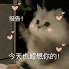 萌宠 猫咪 今天也超想你的 呆萌 可爱