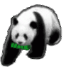 小动物 沙雕 搞笑 逗