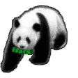 小动物 沙雕 搞笑 逗