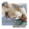 情侣 土味 想你的液 搞笑