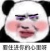 暴漫 熊猫头 要住进你的心里呀 期待 搞怪 逗