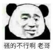 暴漫 文字表情包 骚的不行啊老哥 搞笑 逗 沙雕