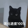 萌宠 猫咪 黑化进度 呆萌 可爱