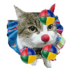 猫meme 猫猫 抽象 搞怪