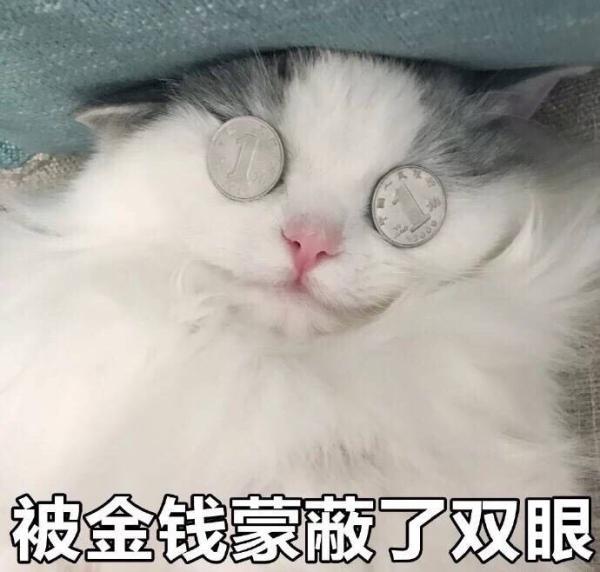 金钱gif兴奋gif大笑gif得意gif