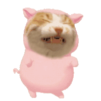 萌宠 猫咪 跳舞 呆萌 可爱