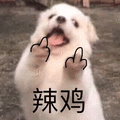 萌宠 狗狗 辣鸡 呆萌 可爱
