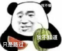 暴漫 熊猫头 我不知道 只是路过 搞怪 逗