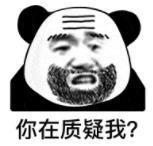 暴漫 熊猫头 你在质疑我 搞笑 沙雕 魔性