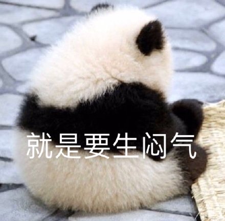 萌宠熊猫就是要生闷气生气呆萌可爱gif动图
