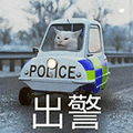 萌宠 猫咪 出警 呆萌 可爱