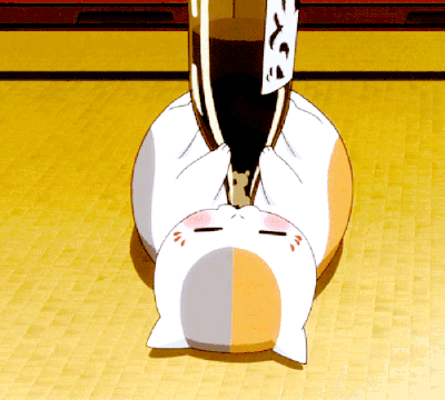 夏目友人帐 猫咪老师 喝酒 二次元