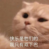萌宠 猫星人 快乐是他们的 我只有双下巴 搞怪 呆萌