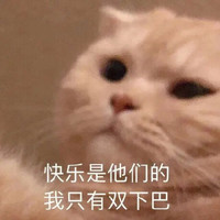 萌宠 猫星人 快乐是他们的 我只有双下巴 搞怪 呆萌