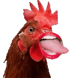 搞怪 抽象 沙雕 公鸡