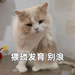 猥琐发育别浪