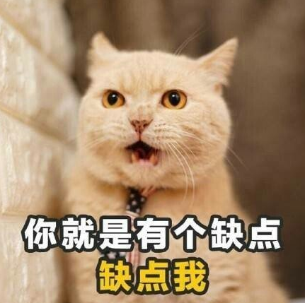 土味情话表情包猫咪图片