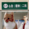 萌宠 猫咪 先回医院 惊讶 呆萌 可爱