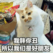 沙雕猫