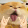 萌宠 猫咪 自拍 呆萌 可爱