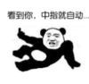 暴漫 熊猫头 看到你中指就自动 搞笑 逗 沙雕