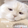萌宠 猫咪 我孤独鸭 我一个人的时候孤独呀 呆萌 可爱