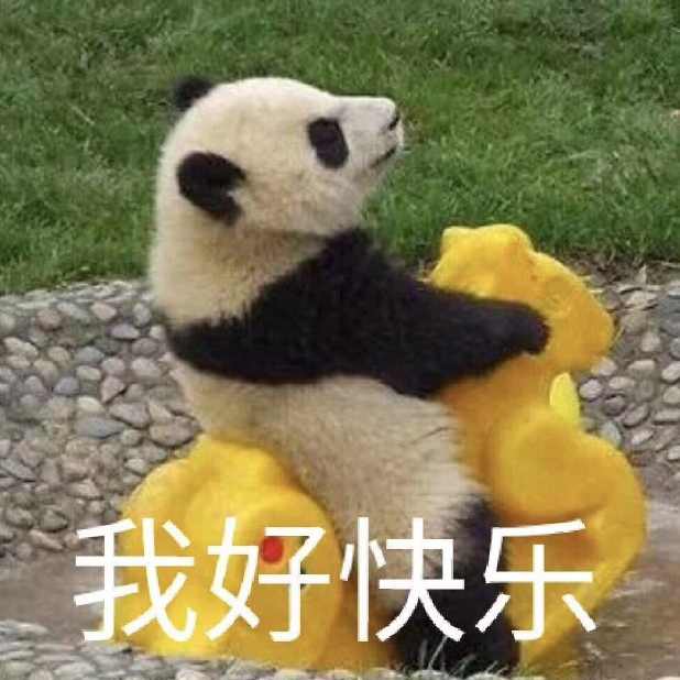 熊猫人开心表情包图片