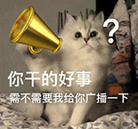 萌宠 猫咪 你干的好事 需不需要我给你广播一下 呆萌 可爱