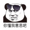 暴漫 熊猫头 你懂我意思吧 搞笑 逗 沙雕