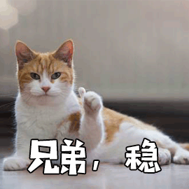 兄弟稳猫搞怪逗gif动图