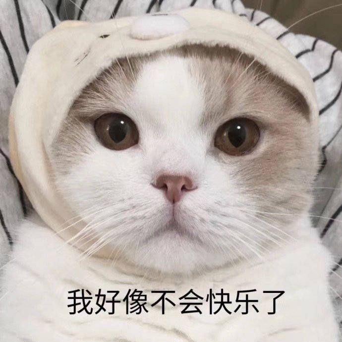 萌宠gif猫星人gif我好像不会快乐了gif难过gif呆萌gif可爱gif