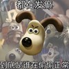 掌门狗 沙雕 搞笑 逗