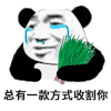 暴漫 熊猫头 总有一款方式收割你 搞怪 逗
