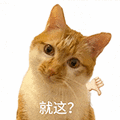萌宠 猫咪 就这 呆萌 可爱