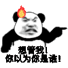 暴漫 熊猫头 你是谁 搞怪 逗