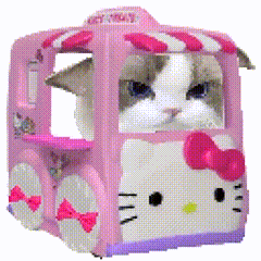 猫meme 猫猫 抽象 搞怪