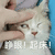 萌宠 猫咪 睁眼起床 呆萌 可爱