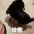 转圈 转圈圈 搞笑 沙雕 逗