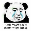 暴漫 熊猫头 不要像个陌生人似的 就这样从我身边路过 搞怪 逗