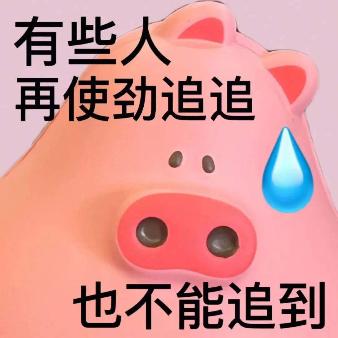 话痨猪猪 可爱 沙雕 搞笑 逗