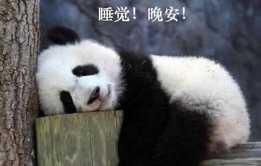 睡觉熊猫头表情包图片