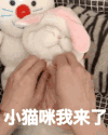 萌宠 猫咪 小猫咪我来了 呆萌 可爱