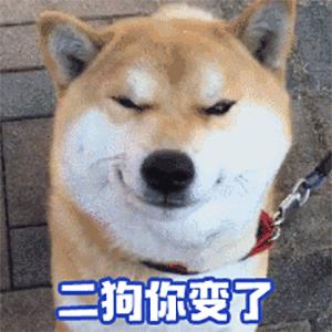 萌宠 狗星人 二狗你变了 开心 呆萌 可爱
